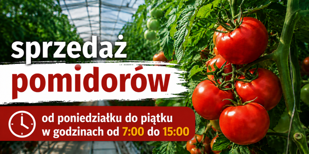 Sprzedaż pomidorów